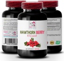Suplemen berry - HAWTHORN BERTRACT - antioksidan suplemen untuk perempuan, antioksidant berry, antioksidant berry campuran, hawthorn berry antioksidan, energi liar berry Hawthorn energi 1Bot 60Caps
