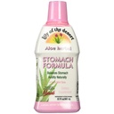 Lily of The Desert Stomach Formula, Organic Aloe Vera Juice dengan Slippery Elm, Chamomile, Peppermint, dan Ginger for Gut Health, Acid Reflux, Heartburn Relief, 32 Oz