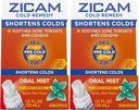 Zicam Cold Remedy Zinc Arktik Mint Oral Mist, 1 Ounce (Paket 2)
