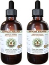 American Ginseng Alcohol- Free Liquid Extract, Ginseng (Panax Ququineefollius) Root Kering Glycerite Hawaii Pharm Natural Herbal Supplemen 2x4 oz