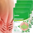 Patch Kesehatan Lumbar (36 PCS / 3 Bag)