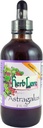 Herb Lore Astragalus Tincture - Liquid Astragalus Root Extract Drops - Immune System Support - 4 Fl Oz