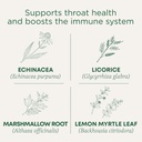 Obat tradisional Lozenges, Organik Throat Coat Lemon Ginger Echinacea, Sore Throat Dukungan, 16 Cacah (Paket 2)