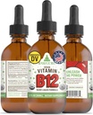 RawGuru Vitamin B12 Liquid Supplement - Vegan Vegan B12 dengan Trace Mineces - Nano-Processed Antioksidant & Imune Supppport Tincture - 60 Servis Vegan Drops per 60 ml, Paket 1