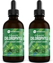 360 Nutrition Chlorofil Liquid Drops with Peppermint Oil, GF & Vegan Body Internal Deodoran Supplemen, Support Gut Health, Divalry, Energy, Radiant Skin, Fast Absorpsi (4 Fl Oz (2 Count)