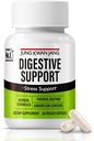 JongKwanJang Digetical Wellness Support - Papain 400mg, American Ginseng 143mg, Bromelain 400mg, Gut Health Supplemen dan Absorpsi Nuklir, 60 Capsules for Men and Women