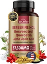 Suplemen Premium Berberine dengan Resveratrol Quercetin Alpha Lipoic Acid - 50: 1 Berberine HCl Kompleks, Polyphenid, Vitalitas Boost - 90 Vegan Tablet, Non-GMO, Gluten- Free