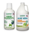 Land Art Aloe Vera Drinkable Gel - Orange Tangerine Flavored - Cold- Processed - Organic Fresh Leaves - 64floz + Liquid Chlorofil Mint - Cold Extracted from Wild None-GMO Alfalfa - 16floz