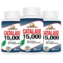 Rise- N- Shine Catalase Supplemen 15.000 - Enzyme Antioksidan Kuat untuk Kesehatan Rambut - Rambut Kuat - 90 Capsules - Paket 3 Ukuran Penuh (Persediaan 90 Hari)
