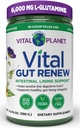 Planet Vital - Vital Gut Pawder Support untuk Perbaikan Leaky Gut dengan Glutamine, Marshmallow dan Ginger Root DGL Licorice dan Organik Aloe Vera, L Glutamine 6000mg 13.76 oz