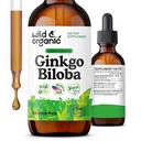 Wild & Organic Ginkgo Biloba Tacture - Otak & Fokus Dukungan dengan Ginkgo Leaf Suplemen - Vegan, Sugar & Alcohol- Free Herbal Extract Tincture - 2 flf oz