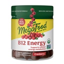 - Vegan - dengan Metil B12 Vitamin Energy Production - Cranberry - Daily Vitamin B12 Supplemen - USDA Organik - 70 Gummies, 35 Pelayan
