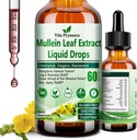 Klorofil Elderberry Oregano Oil Resveratrol Mullein Tincture Alkohol, Original Flavor, 2 f Fl / Oz