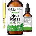 Wild & Organic Sea Moss Liquid Drops - Dukungan Imune - Irish Sea Moss dan Bladdercrack Tincture - Multimineral Chondrus Crispus Supplemen - Vegan, Sugar & Alcohol- Free - 2 fl oz