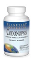 Planetary Herbals Codonopsis Tablet, 750 mg, 60 Count