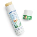 Badger Bug Bite Itch Relief Stick, Natural & Organic Anti Itch Cream for Bug Bite, Rashes & Poison Ivy, Fast Itchy Skin Relief After Bite, Works Great, Smells Great, Easy to Use, .6 oz