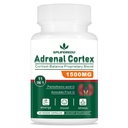 11 -in- 1 Tambahan Dukungan Adrenal, Tambahan Cortisol dengan Acid Panthenic dan Ashwagandha - Mendukung Fungsi Adrenal Sehat, Energi dan Relaxation- 60 Capsules