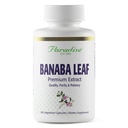 Paradise Herbs, Banaba Leaf, 12: 1 Ekstraksi konsentrasi, 250 mg, Vegan, Gluten- Bebas, Non- GMO, 180 Kapsul