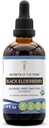 Rahasia Suku Hitam Elderberry Alcohol- Free Tincture (Glycerite) 680 mg USDA Black Elderberry (Sambucus Nigra) Died Berry (4 Fl Oz) Suplemen Dukungan Imune