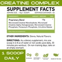 FL Muscle Creatine 124; 3 Forms dari Micronized Creatine 124; 10g Pulpy 124; 0 Sugar 14; Dipermanis dengan Stevi 124; All- Natural 124; 60 Servings (Natural)