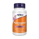 Sekarang Makanan Suplemen, Pycnogenol 60 mg (Unik Combo dari Proanthocyanidins dari Perancis Maritim Pine) dengan Acerola & Rutin Powder, 50 Veg Capsules