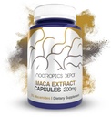 Maca Extract Capsules 124; 5% Macamides 124; Lepidium meyenui 1124; Mood, Energy, and Vitalitas 124; 60 Count