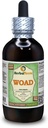 Woad (Isatis Indigotica) Glycerite, Dry Leaves Alcohol- Free Liquid Extract (Nama Merek: HerbalTerra, Proughtly Made in USA) 4 f.oz (120 ml)