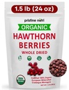 100% organik Hawthorn Berries Kering Bulk 124; Buat Hawthorn Berry Tea 124; Eropa Wildmade Berries 124; Membuat Tea Wellness untuk Dukungan Jantung, Tekanan Darah dan Relief Stress (paket mungkin bervariasi)