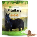 Silver Lining Herbs Pituitary Gland Suplemen untuk Kuda - Suplemen Kuda Equine Metabolic, Cushing 's, Sweating & Shedding Issult - Mood & Energy Horse Supplemen 1 Lb 60- Day Supply
