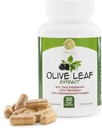 Extract Olive Leaf - 500mg - Suplemen Standar ke 25% Oleuropein - 20% Hydroxytyropol - 40% Polyphenol - Non-GMO + Gluten Free + Dairy Free + Soy + Vegan (30 Capsules)