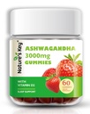 Nature 's Key Ashwagandha Gummies, 3000mg High Potency Ashwagandha Root Extract with Vitamin D2, Stress, Calm Mood & Cognition, for Men & Women, Strawberry Flavor (60 Count (60 Count)