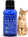 HA4E - Cat UTI Remedy - Natural Ginney Dukungan untuk Kucing - Mendukung Bladder & Urinary Health - Renal Cleanse - Non-GMO, Organik, Chemical-Free - 300 Tablet