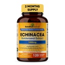 SANDHUHERBALT Sandhu Herbals Echinacea Goldenseal 1000 Mg 120 Capsules 14; Sistem kekebalan Mendukung Response Inflammatory Response Suplemen
