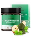 HERBAMAMA Stinging Nettle Gummies - 7500mg Stinging Nettle Root Extract for Urinary Tract Dupport for Women & Men - Vegan, Non- GMO Urtica Dioica Suplemen - 60 Pectin- Based Applicated - Flavored Chews