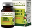 Botyan Botanicals Yogaraj Guggulu - Organik Bersama Suppport-Nya