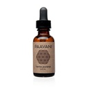 PAAVANI Ayurveda Ear - Made in USA - Ayurvedic Herbal Ear Drops - Itchy Ears & Earache Relief - 100% Organik, 1 oz