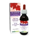 Naturalma Red Grapevine (Vitis vinifera) Leaf Alcohol- Free Tincture - 4 quid oz Liquid Extract in Drops - Herbal Suppplemen - Vegan