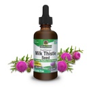 Nature 's Jawaban Milk Thistle 2 Ounce Extract - Alkohol Bebas, Non GMO, Suplemen Dukungan Liver untuk Everyone - Detox Hati, Dibuat di AS