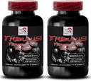 Alami Stamina Boost - TRIBULUS TERRESTRIS Ekstrak - Kekuatan & Aktivitas Dukungan, Optivisasi Energi Formula, Pembangunan, Performance Body Blend, Pemulihan Aktif, Pemulihan Energi 2Bot 180Tab