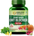 Pabrik Generik-Based DHT Blocker dengan Kebaikan Nettle Leaves 124; untuk Pria dan Wanita - 60 Veg Capsules