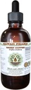 Green Coffee Alcohol- Free Liquid Extract, Green Coffee (Coffea Arabica) Dried Bean Glycerite Hawaii Pharm Natural Herbal Suplemen 4 oz