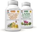 ANDREW PC LeSSMAN Liver and Brain Benefit + Liver Anti- Oxidant Extracts Kit: 300 Capsules (180 + 120) - Phosfatidyl Choline, Milk Thistle, Artichoke, Curcumin.