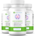 Ben 's Natural Health Mind & Memory Suplement, Nootropic Brain Support with Rhodiola, Green Tea, Cloves & Quercetin, 90 Kapsul, 3 Pack