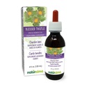 Natualma Blessed Thistle or Holy Thistle (Cnicus benedictus) ramuan dengan Flowers Alcohol- Free Tincture - 4 fl oz Liquid Extract in Drops - Herbal Supplemen - Vegan