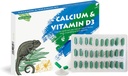 Kalsium Reptile Suplemen Dengan Ditambahkan Vitamin D3 Ideal Untuk Naga Berjenggot, Turtles & More