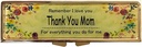 AmyZone Pill Organizer Weekly 7 Day with Reminly Travel Portable Compact Pill Box Case to Hold Vitamin / Tylenol / Fish Oil / Meds / Tablet for Purse / Pocket (Thank You Mom)