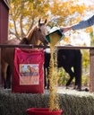 Glow 40 lb, Aids in Weight Gain for Horses dan Improve Coat and Condition, High in Omega-3