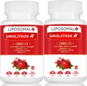 Lipomal Urolithin A Tambahan 2000MG untuk Energi 120 Kapsul