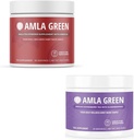 Amla Powder & Green Tea Superfood Suplemen, Dukungan Antioksidant, Dibuat dengan Hibiscus (90 porsi) & Elderberry (30 porsi), Organik, Vegan