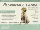 Canine Pengalihan